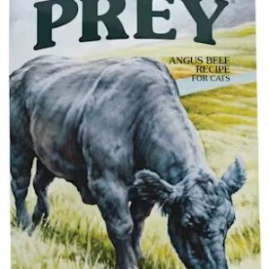 Taste of the Wild Prey Angus Beef Limited Ingredient Recipe Dry Cat Food