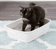 Cat Litter Box