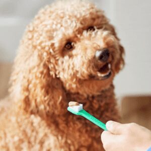 Teeth Cleaning Supplies