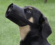 Muzzles