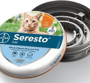 The Pet Bowl