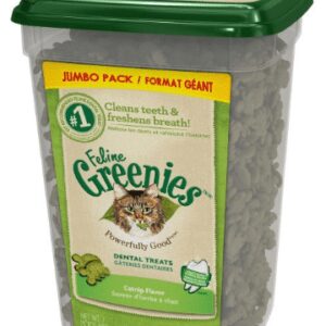 The Pet Bowl