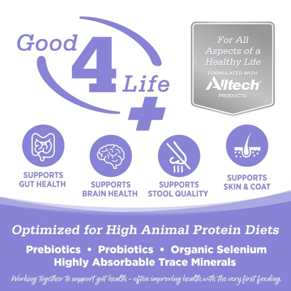 Nutrisource Grain Free Cat & Kitten Chicken & Salmon Select Cat Food - Image 6