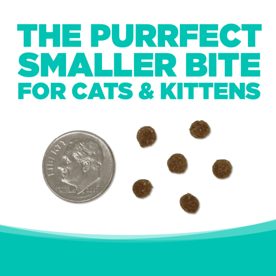 Cat food kibble next to a dime.