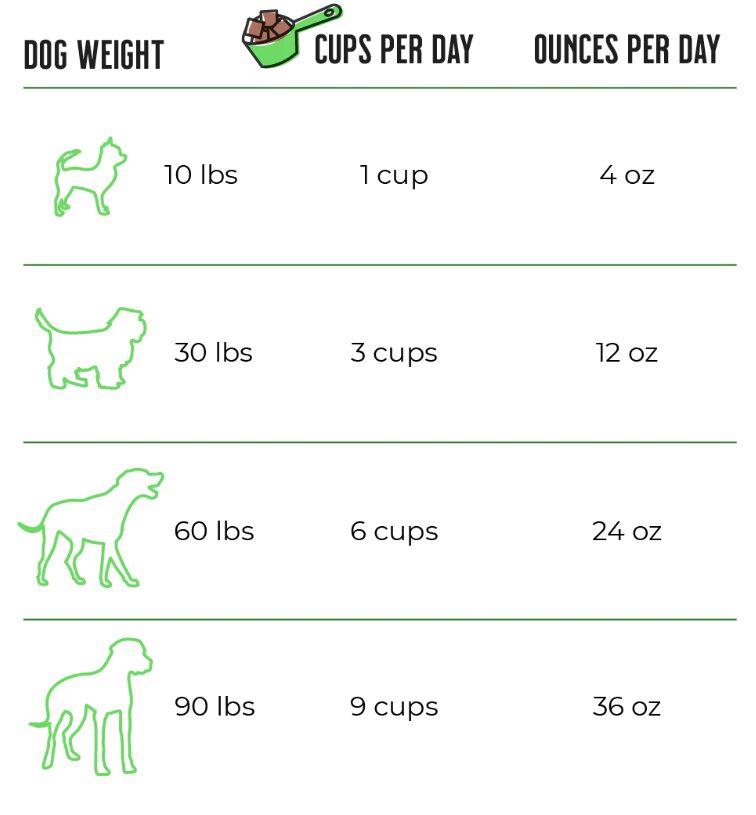 Dog feeding chart: weight to cups