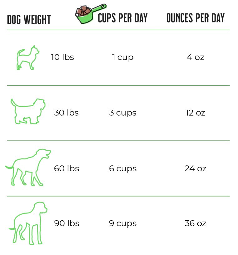 Dog feeding chart: cups and ounces per weight
