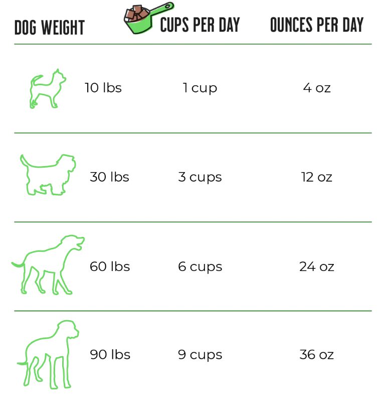 Dog feeding chart: weight and daily cups