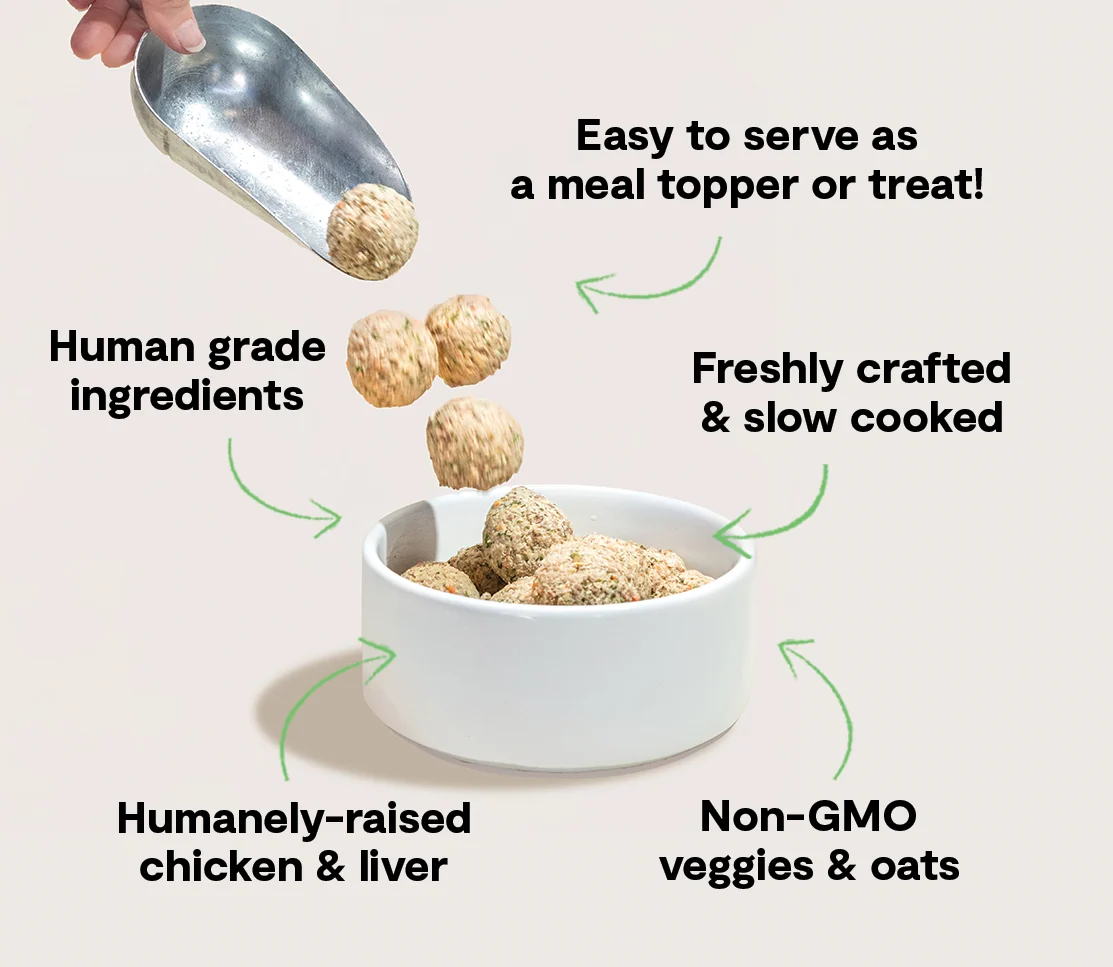 Open Farm Harvest Chicken Freshly Crafted Frozen Meatballs for Dogs - Image 2
