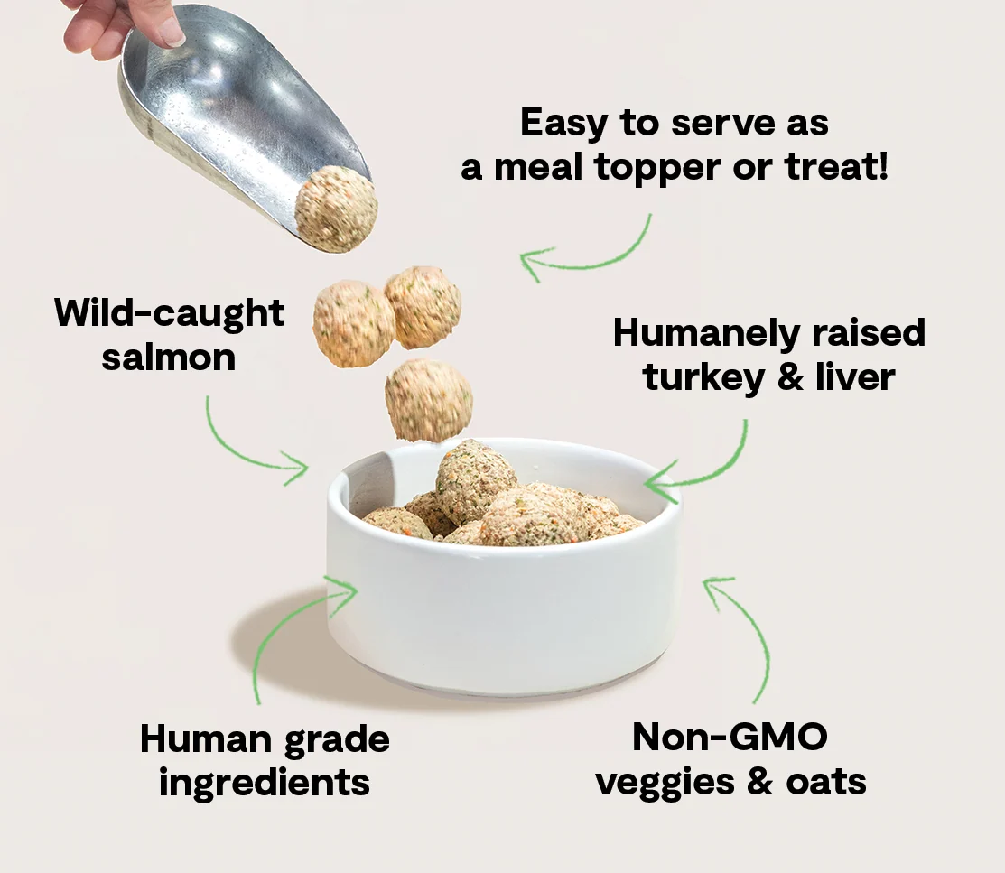 Open Farm Turkey & Salmon Freshly Crafted Frozen Meatballs for Dogs - Image 2
